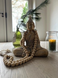 Yoga Retreat Domburg 2024